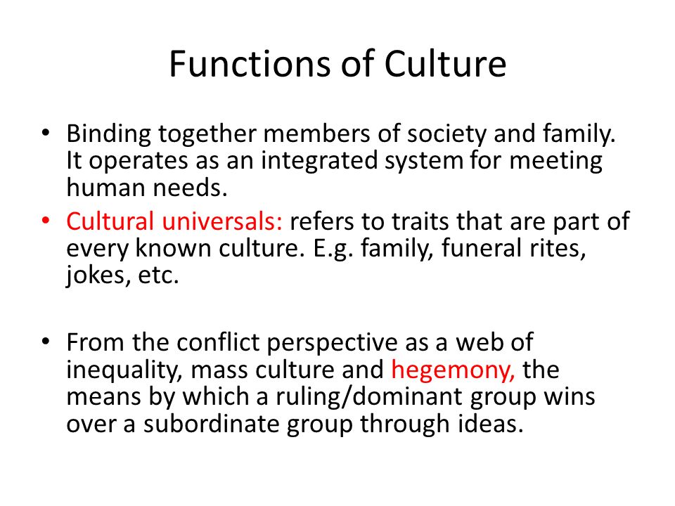 8 characteristics of culture